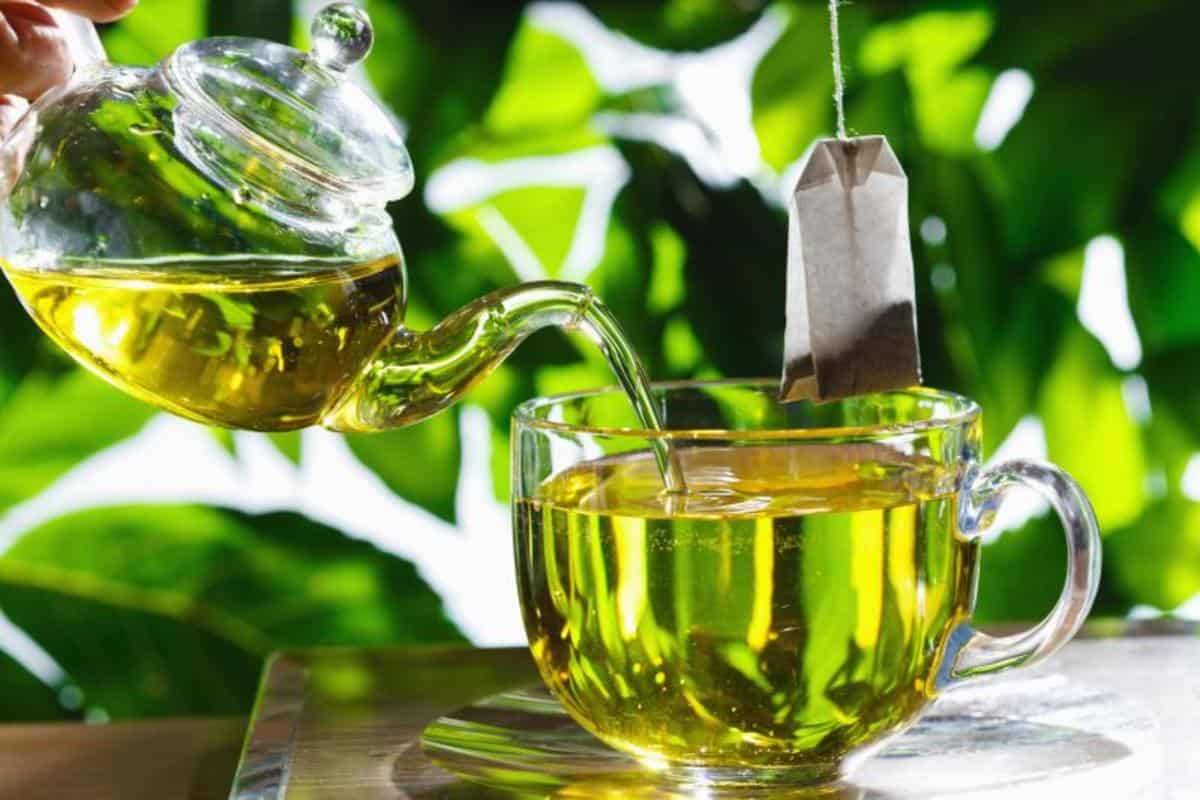 هل الشاي الاخضر مضر للحامل أو مفيد ؟