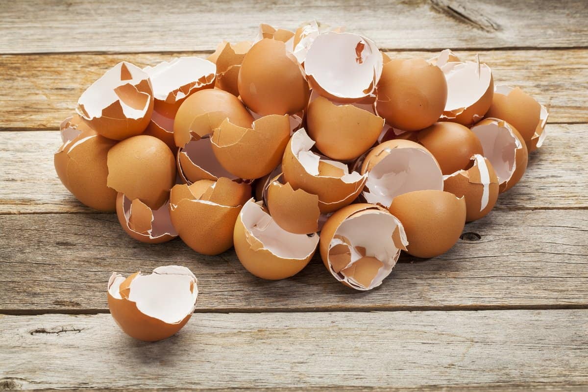 فوائد قشر البيض للصحة