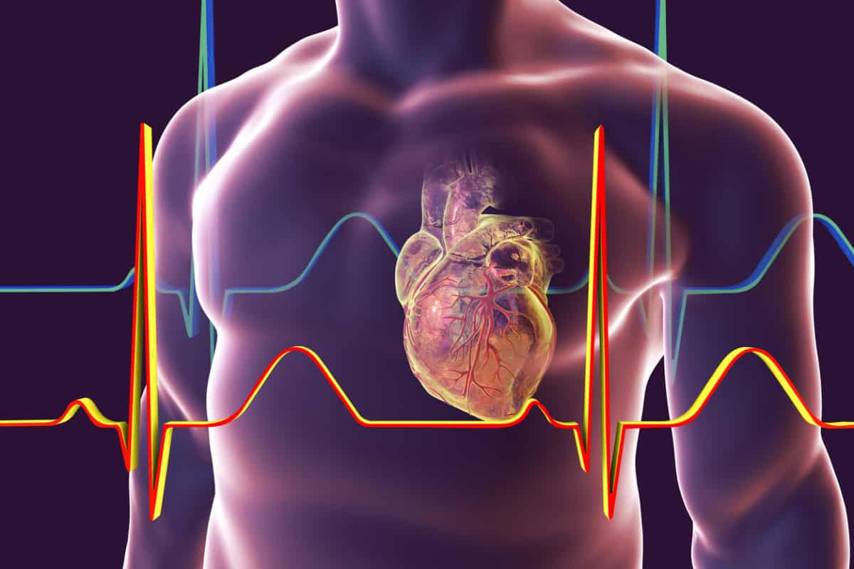 ما هو معدل ضربات القلب الطبيعي