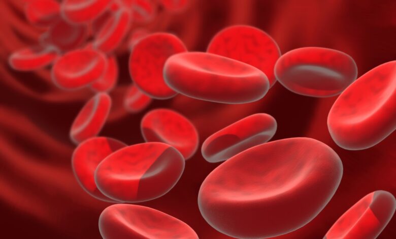 هل نقص الصفائح الدموية هو سرطان الدم