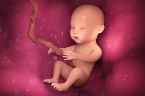 كيف تكون حركة الجنين الذكر