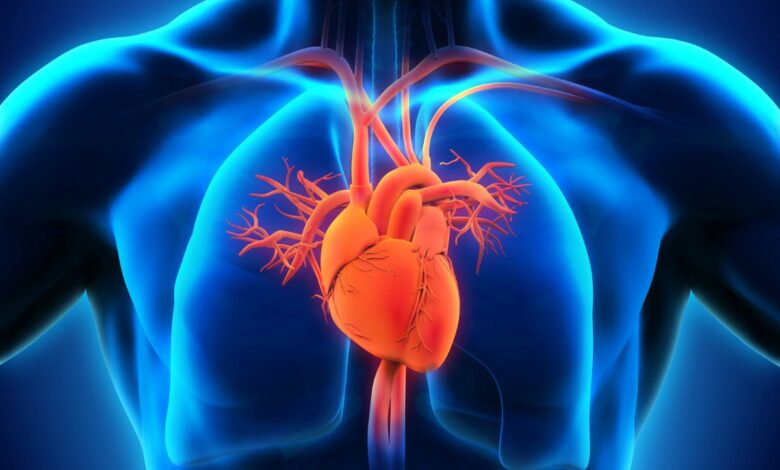 ما الذي يحدث للدم في جهاز القلب الرئتين الصناعي