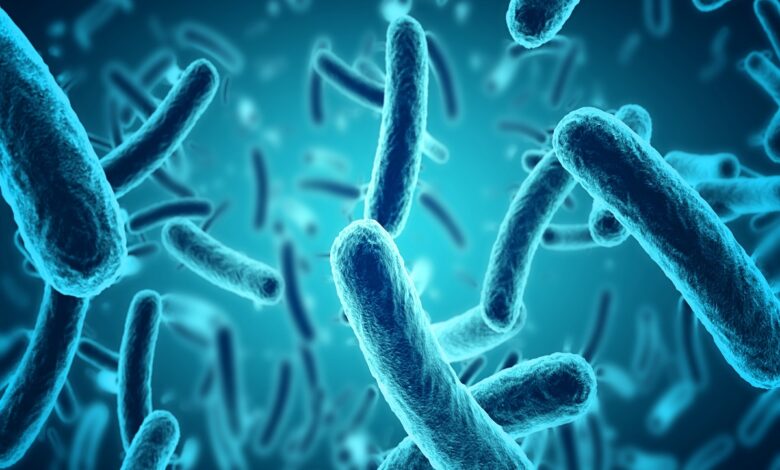 أنواع البكتيريا والأمراض التي تسببها pdf 