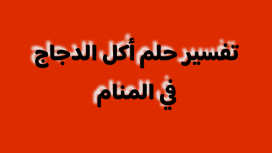 تفسير حلم أكل الدجاج في المنام مع الخبز للرجل والمرأة تفسير حلم أكل الدجاج في المنام