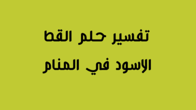 تفسير حلم القط الاسود في المنام